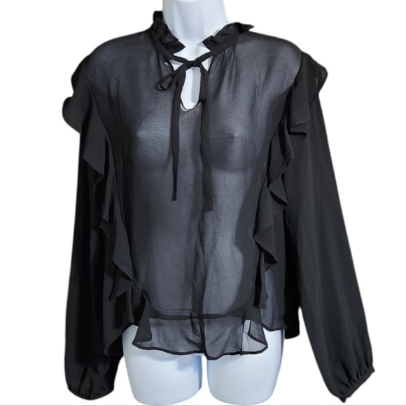 Anna Cai Tops - NWT Anna Cai Mesh Sheer Ruffle Top
